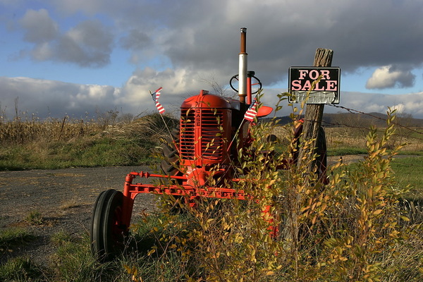 For Sale on Route 263 : Rustic : The Shenandoah Gallery | Kevin Byrne