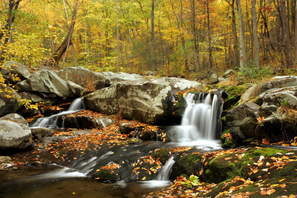 Nancy's Fall, Shenandoah NP : Idyllic : The Shenandoah Gallery | Kevin Byrne