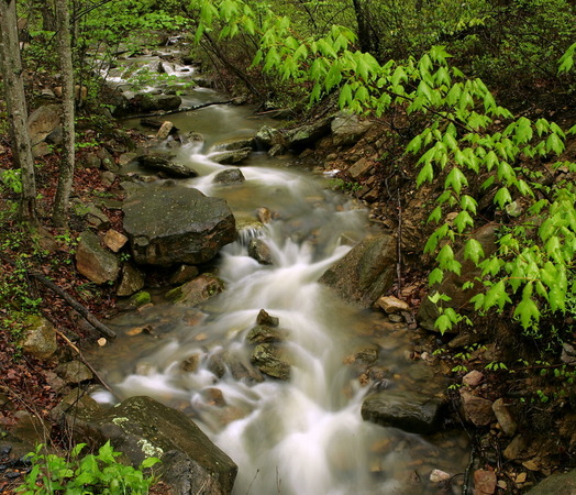 Laurel Run, Liberty Furnace, VA : Idyllic : The Shenandoah Gallery | Kevin Byrne
