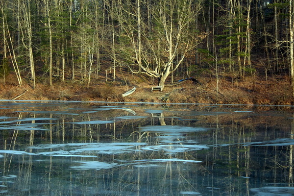Spring Thaw on Lake Laura, Basye, VA : Idyllic : The Shenandoah Gallery | Kevin Byrne