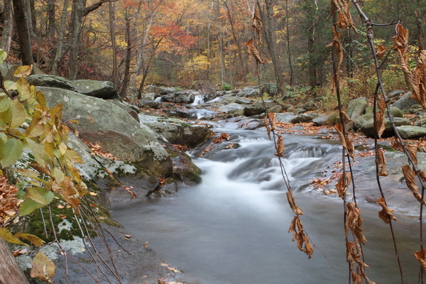 Rapidan in the Fall, Shenandoah NP : Idyllic : The Shenandoah Gallery | Kevin Byrne