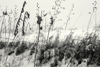 © Kevin Byrne