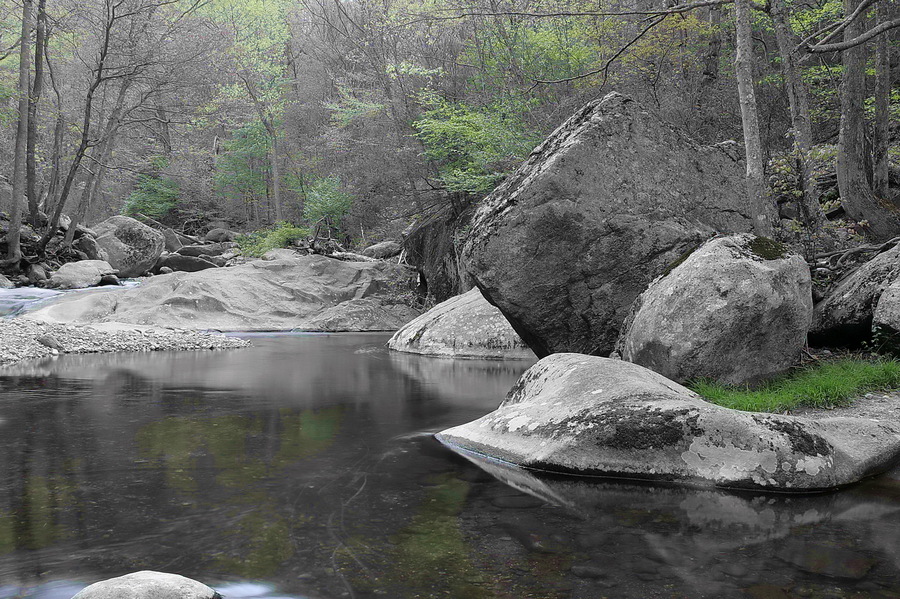 Hint-O-Green : Bucolic : The Shenandoah Gallery | Kevin Byrne