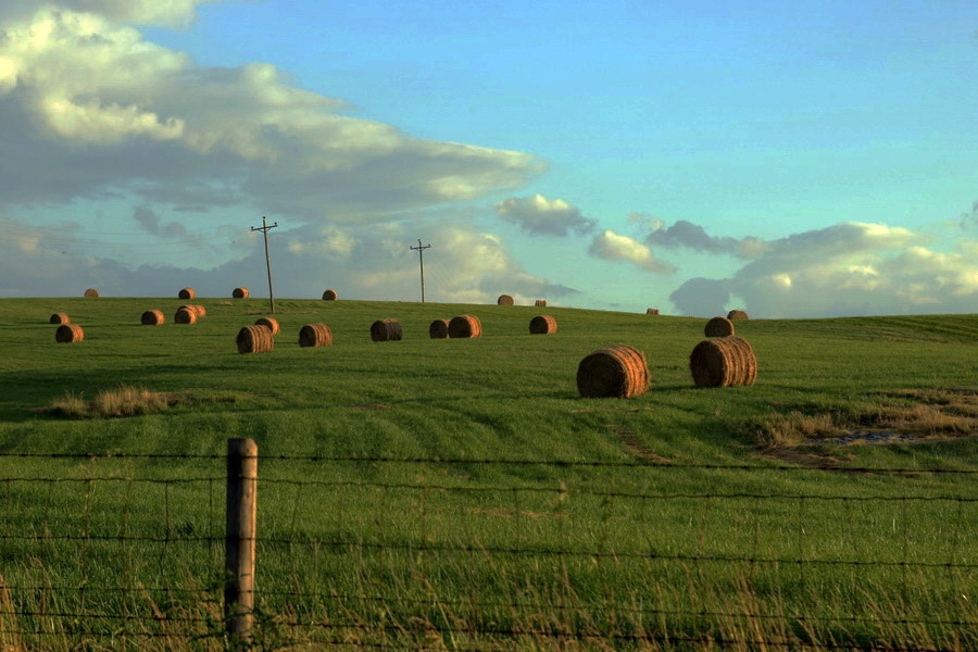 Making Hay : Bucolic : The Shenandoah Gallery | Kevin Byrne