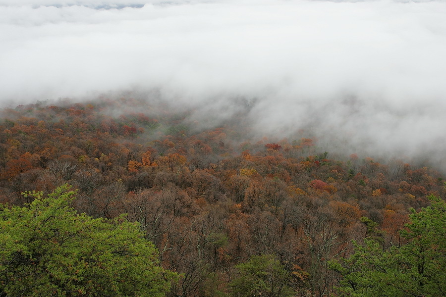 East from Massanutten Mountain : Bucolic : The Shenandoah Gallery | Kevin Byrne