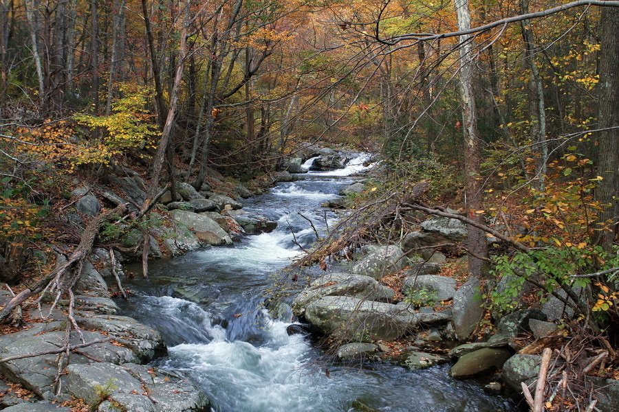 No-Name Cascades,  Below Skyline Drive, Shenandoah NP : Idyllic : The Shenandoah Gallery | Kevin Byrne