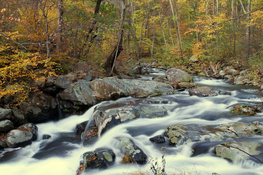 Above Nancy's Fall : Idyllic : The Shenandoah Gallery | Kevin Byrne