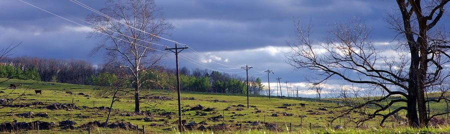 Telegraph Poles. Shenandoah County : Bucolic : The Shenandoah Gallery | Kevin Byrne