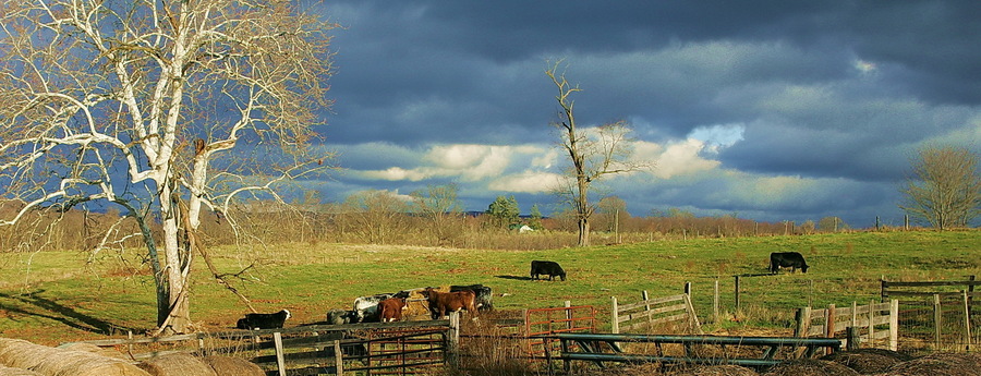 Sunset, Shenandoah County : Bucolic : The Shenandoah Gallery | Kevin Byrne