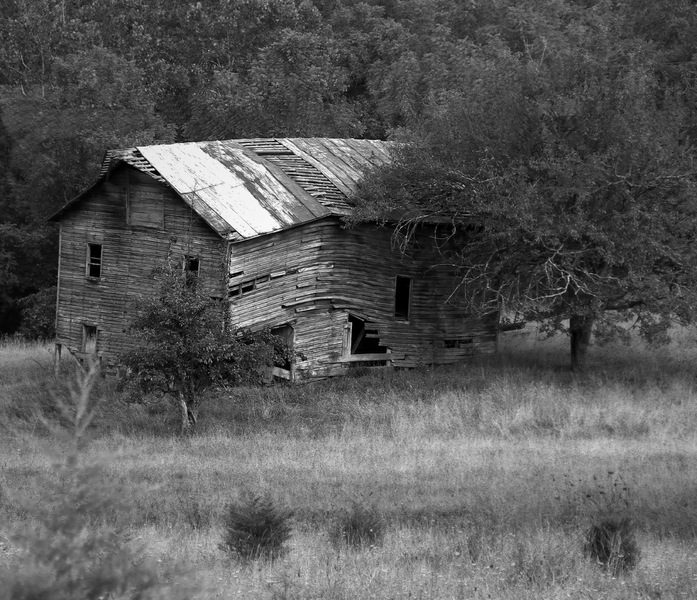 Still There, But It's Gone : Monochrome : The Shenandoah Gallery | Kevin Byrne